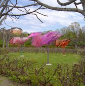 "Laburnum/Wisteria Polaris" - Uppsala Botanical Garden